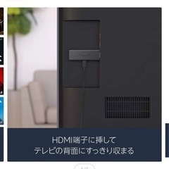 Panasonicプラズマテレビ　+firetv stick付けます！の画像