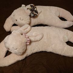 ニトリ　うさぎの抱き枕　2点セット
