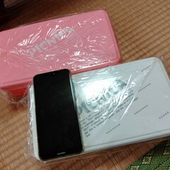 【6/30処分します】ピクニックランチケースの画像