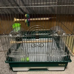 ホーエイ　鳥カゴ(鳥籠)