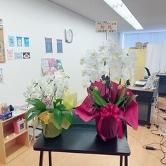 初心者＆繊細さん＆シニアの方にオススメのパソコン教室です😌の画像