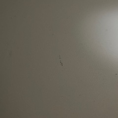 ソファベッド(写真のソファが2台になります)の画像