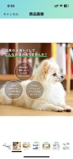 ペット自動トイレ