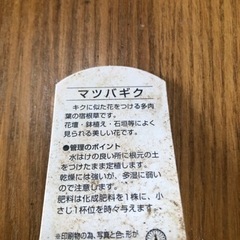 生活雑貨 家庭用品 ガーデニングの画像