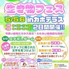 生き物フェスinカホテラス出店します！の画像