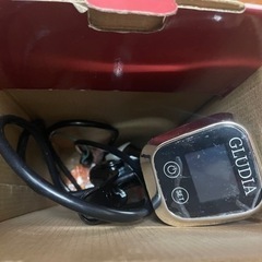 値下げ再募集)GLUDIA(グルーディア)  低温調理器具の画像