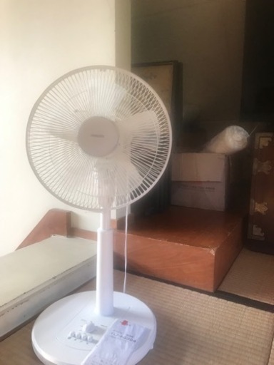家電 季節、空調家電 扇風機