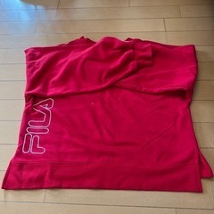 フィラトレーナの画像