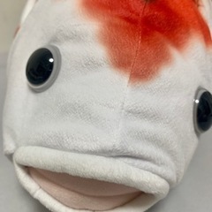 値下げ‼️縁起の良い鯉🐟の画像