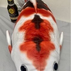 値下げ‼️縁起の良い鯉🐟の画像