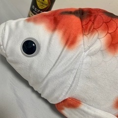 値下げ‼️縁起の良い鯉🐟の画像