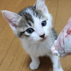 2ヶ月の男の子　グリ