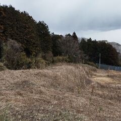 山砂　2000立米　無料　業者の方特に歓迎