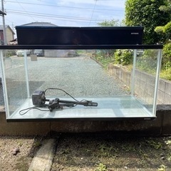 水槽