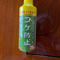 水槽内苔取り
