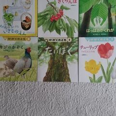かがくのとも　6冊