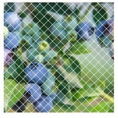 防鳥網　鳩よけネットの画像