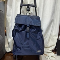 コロコロお荷物バッグ/カートキャリー