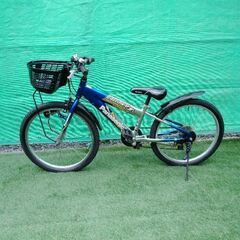 GALLOWAYの中古が安い！激安で譲ります・無料であげます｜ジモティー