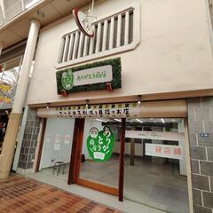 芸術劇場　ハレノワ近く　岡山市　表町3丁目　商店街内　西大寺町　...
