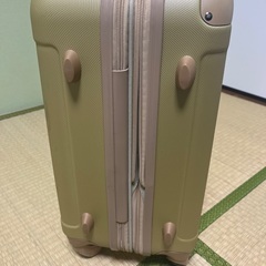 キャリーバッグ　飛行機持ち込みサイズの画像