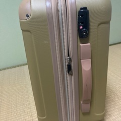 キャリーバッグ　飛行機持ち込みサイズの画像