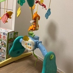 プーメリーの画像