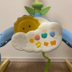 プーメリーの画像