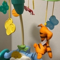 プーメリーの画像