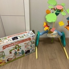 プーメリーの画像