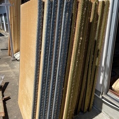 畳です。の画像