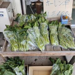ほうれん草　300㌘　100円　無人販売