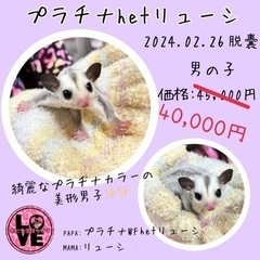GW SALE！！！男の子セール！