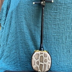 本蛇皮張　三線の画像