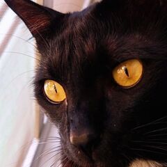 チケット無料 お渡しします♡