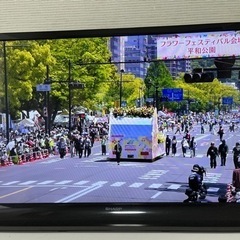家電 テレビ 液晶テレビ