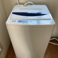 家電 生活家電 洗濯機