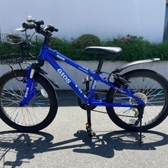 20インチ　ジオス自転車 