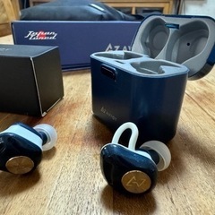 イヤホン　AVIOT TE-D01d 