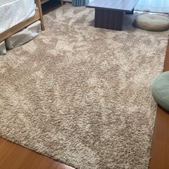 【無料】[200×300/長方形] 洗えるマイクロファイバーシャ...