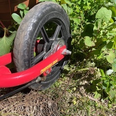 【無料】ミニバイク　12インチの画像