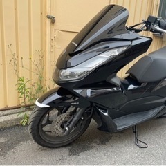 早い者勝ち🉐PCX125　