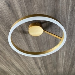 照明
