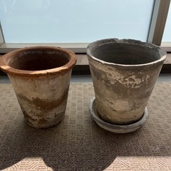 モスポット 鉢