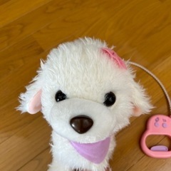 イワヤパタパタおみみの　おさんぽエイミーの画像