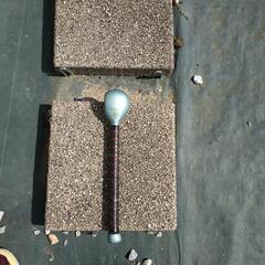 スポーツ ゴルフ