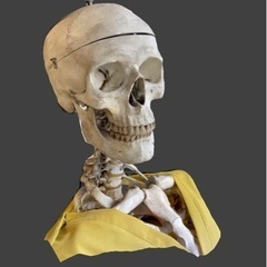 blender仲間募集　自主制作 - 千代田区