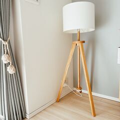 ラウテルスの中古が安い！激安で譲ります・無料であげます
