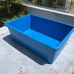 錦鯉の飼育　トロ箱400