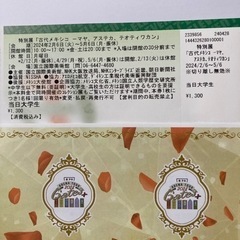 大阪 特別展 古代メキシコ展 チケット